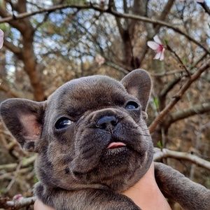 Meet your Posher, Haylee